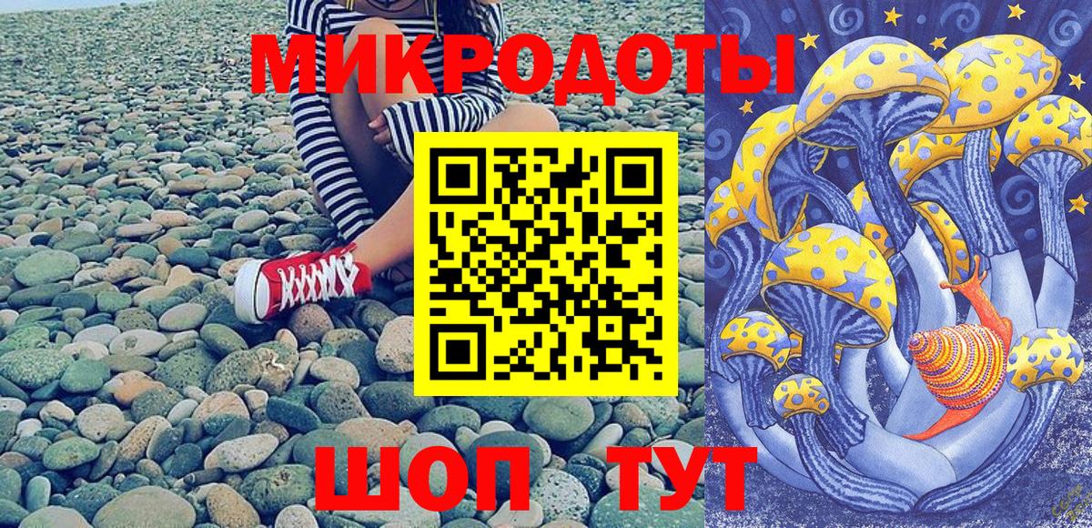 Галлюциногенные грибы GOLDEN TEACHER  Галлюциногенные грибы ЛСД  Вход с VPN  Касимов 