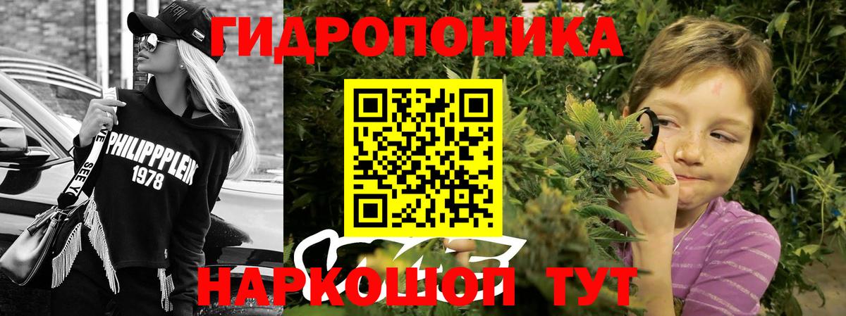 Каннабис семена Касимов